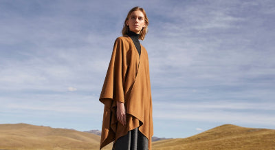 Why Are Vicuna Clothes So Expensive?