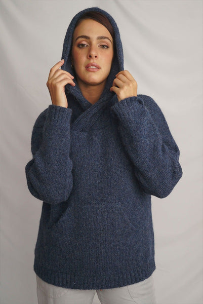 Briana Alpaca Hoodie Pullover