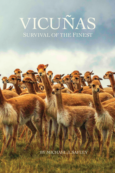 Vicunas: Survival of the Finest